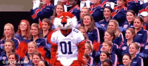 Crowd Watching Texas Vs AGM Basketball GIF