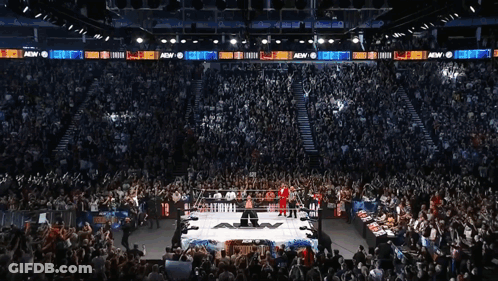 Crowd Watching Wrestling Match In AEW Stadium GIF