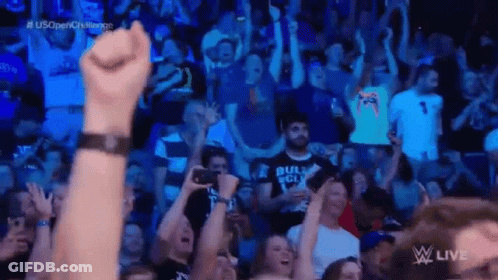 Crowd Watching Wrestling Match On TV GIF