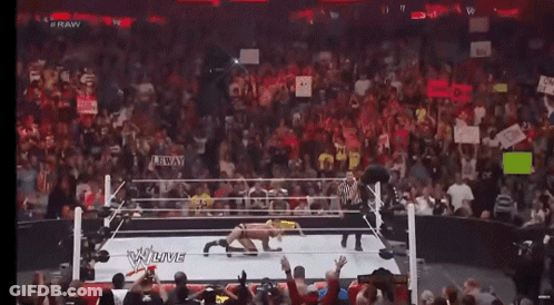 Crowd Watching Wrestling Match With RAW On Ring GIF