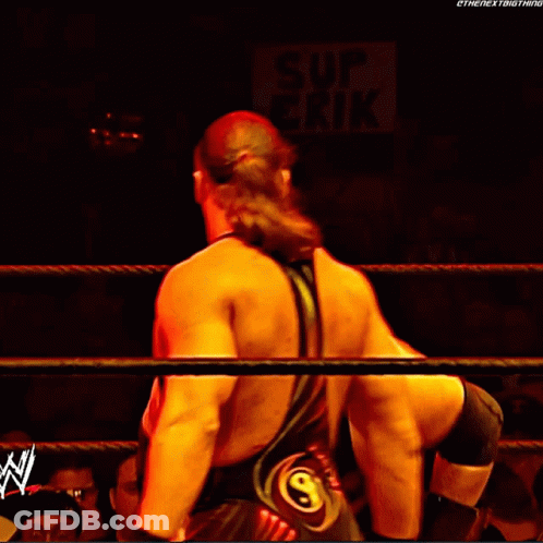 Crowd Watching Wrestling Match With US Army Sign GIF