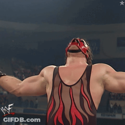 Crowd Watching Wrestling Match WWE GIF