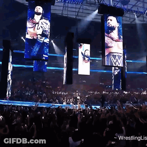 Crowd Watching Wrestling Show With Wrestlinglis GIF