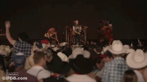 Crowd Wearing Cowboy Hats Watching Band GIF