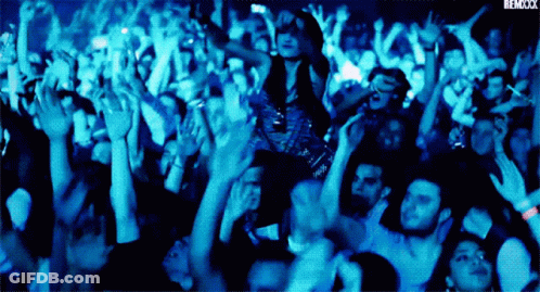 Crowd With Arms In Air Saying Remixxxx GIF
