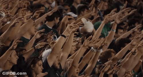 Crowd With Arms Up Including Green Shirt Saying Texas GIF
