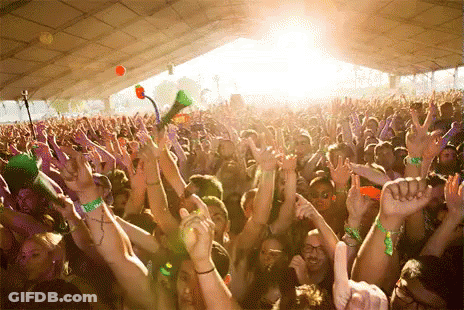 Crowd With Hands In Air At Music Festival GIF