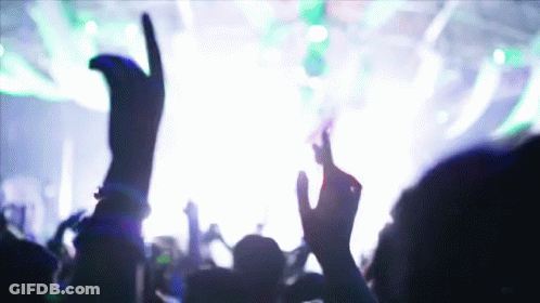 Crowd With Hands In The Air GIF