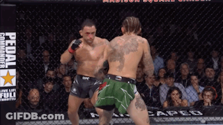 Crowd With Take The Spirit Of Tebow Into Your Hearts GIF