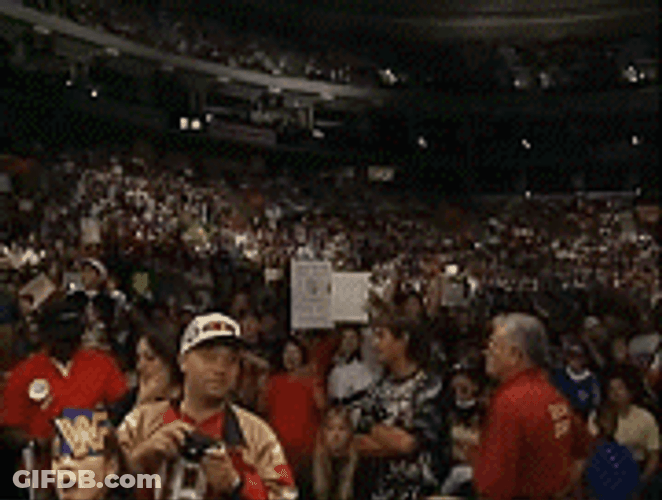 Crowds Favorite Shawn Michaels GIF