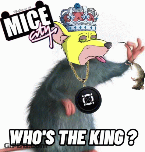 Crowned Rat Asking Who's The King GIF