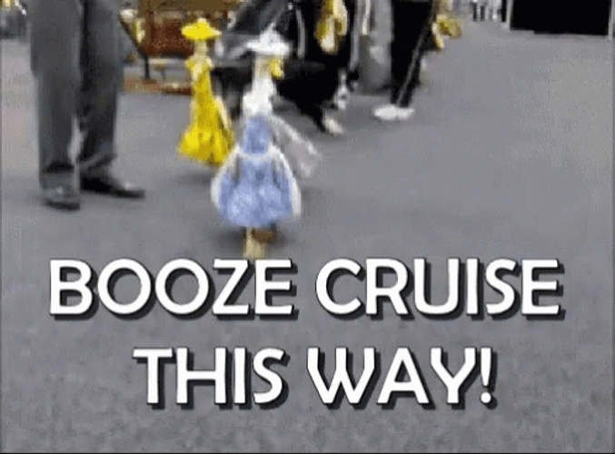 Cruise Booze Running Ducks Funny Meme GIF