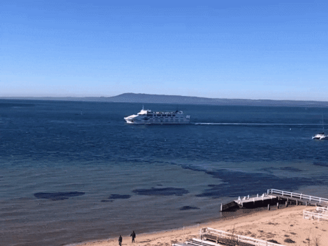 Cruise Ship Sailing GIF