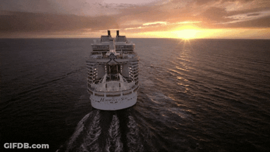 Cruising On The Ocean Pto Day GIF