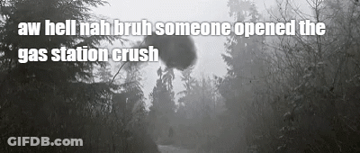 Crush Soda Orange Soda GIF