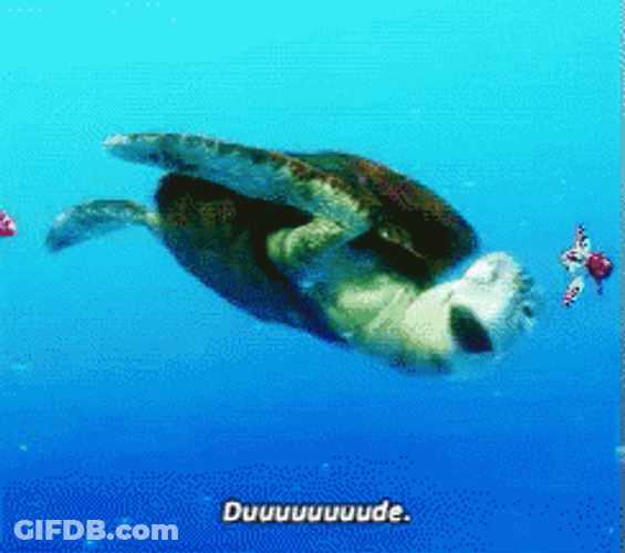 Crush Turtle Dude GIF