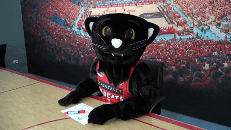 Crushing It Wilbur The Wildcat GIF