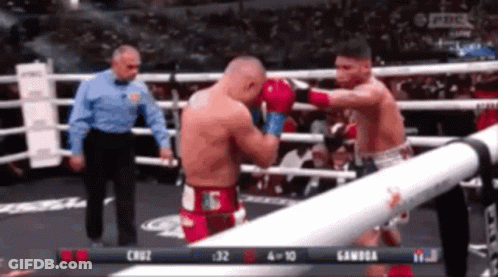 Cruz Vs Gamboa Boxing Match GIF