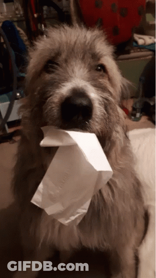 Cry Me A River GIF