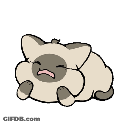 Crying Baby Cat GIF