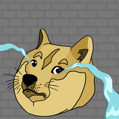 Crying Bullied Doge Meme GIF