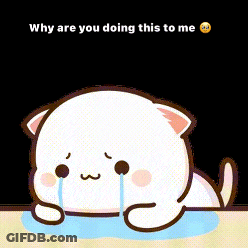 Crying Cartoon Cat Why Are You Doing This To Me GIF