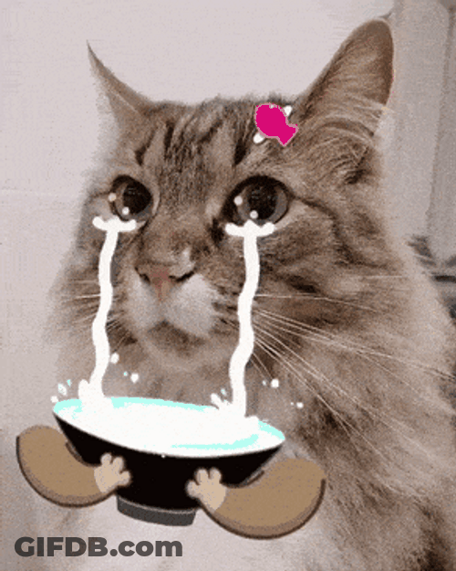 Crying Cat Catching Tears GIF