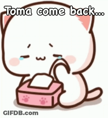 Crying Cat Holding Tissues Says Toma Come Back GIF