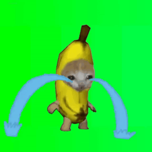 Crying Cat In Banana Costume GIF