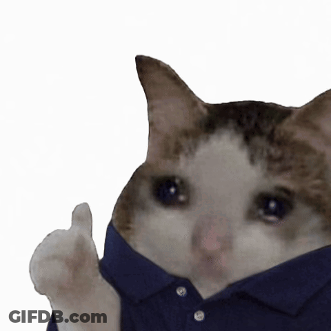 Crying Cat In Blue Shirt Thumbs Up GIF