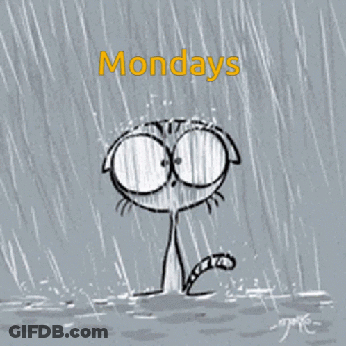 Crying Cat In Rain With Mondays GIF
