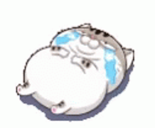 Crying Cat Left Out GIF