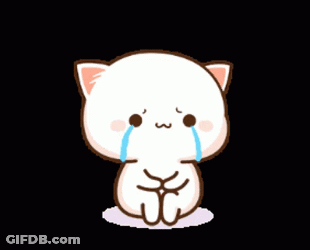 Crying Cat Looking Up GIF