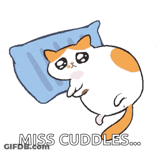 Crying Cat Missing Cuddle GIF