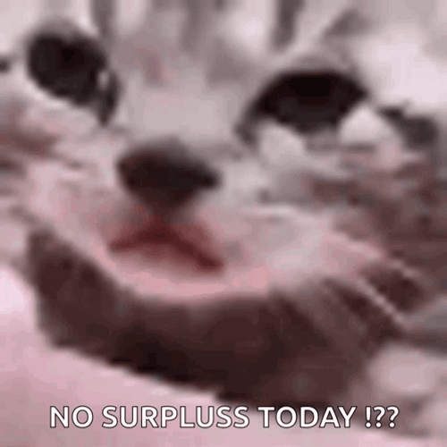 Crying Cat No Surpluss Today GIF