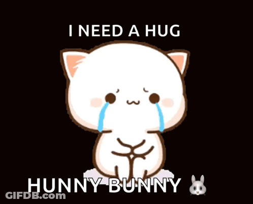 Crying Cat Saying I Need A Hug Hunny Bunny GIF