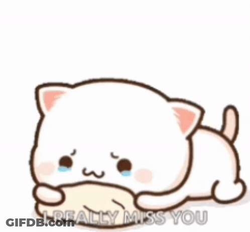 Crying Cat Saying I Really Miss You GIF