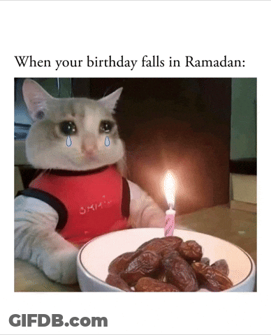 Crying Cat With Bowl Of Dates And Candle GIF