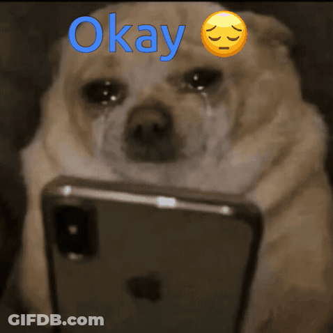 Crying Dog Looking At Phone With Okay GIF