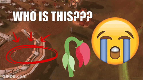 Crying Face In Video Game With Flower GIF