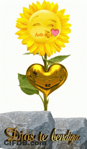 Crying Face With Flower Se Me Murieron Pero Ojala Te Gusten GIF
