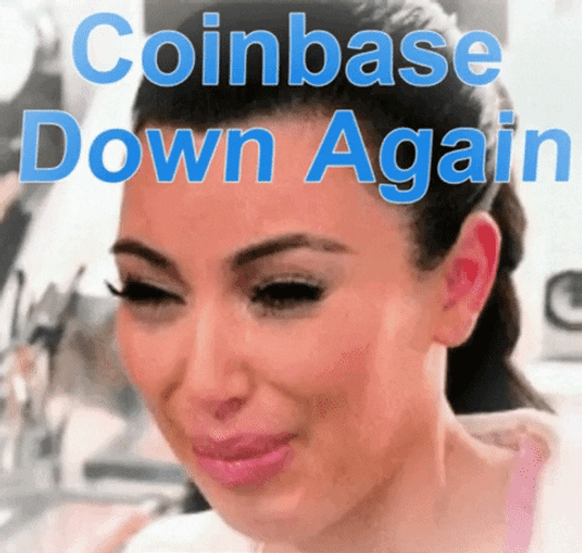Crying For Crypto Money Meme GIF