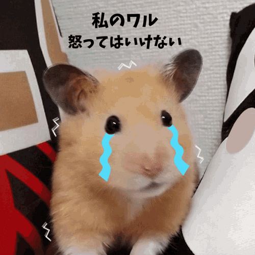 Crying Hamster Japanese GIF