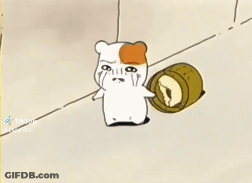 Crying Hamster TikTok GIF