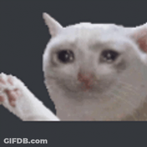 Crying Meme Cat Waving Paw GIF