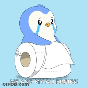 Crying Penguin Sitting On Toilet Paper GIF
