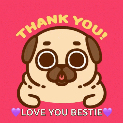 Crying Pug Thank You Love You GIF