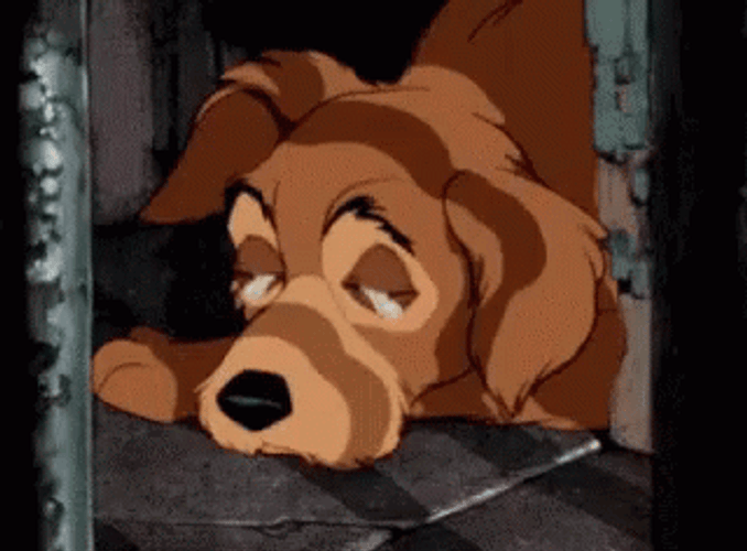 Crying Sad Dog GIF