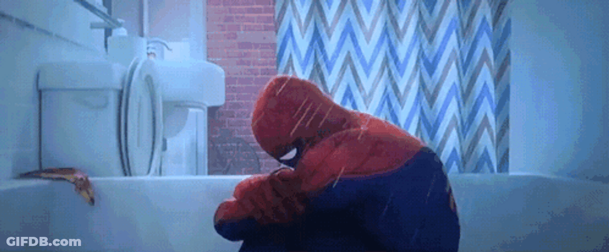 Crying Spider Man Meme GIF