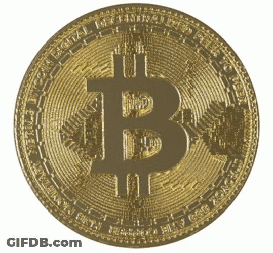 Crypto Bitcoin Gold Coin GIF